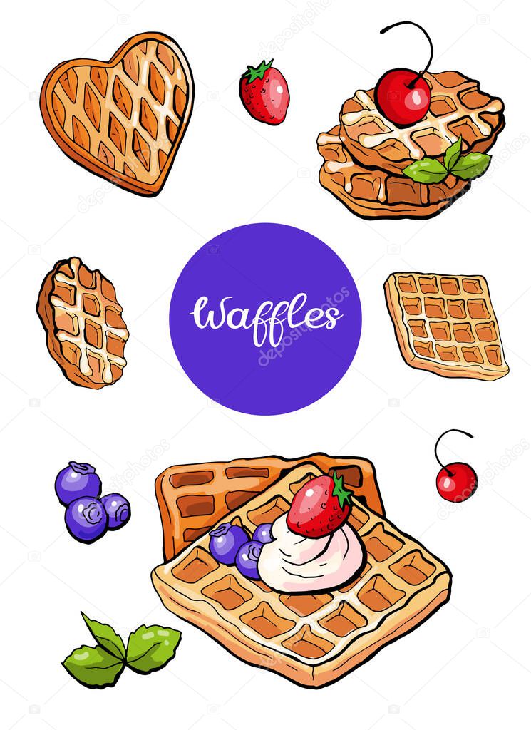 Vector illustration bakery waffles wafer elements set