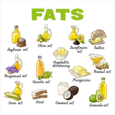 Farklı yağ ve yağ çeşitlerine sahip kusursuz vektör deseni