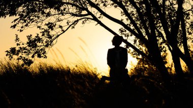 Kız arkası dönük oturur gün batımında güneşi kapatır, ağacın altında, siluet, genel plan.