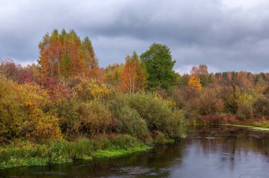 Güzel sonbahar nehir manzara renkli ağaçlar ile