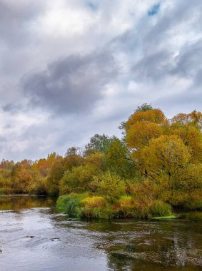 Güzel sonbahar nehir manzara renkli ağaçlar ile