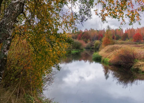 Birke im Vordergrund und Herbst Fluss im Hintergrund — Stockfoto