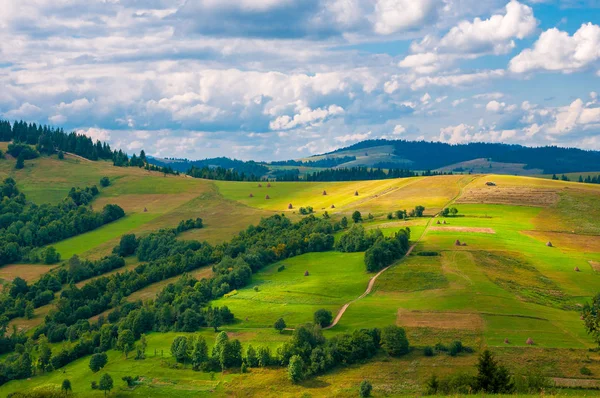 Panorama Carpathian mountain landscape with blue cloudy sky in summer — Stock Photo, Image