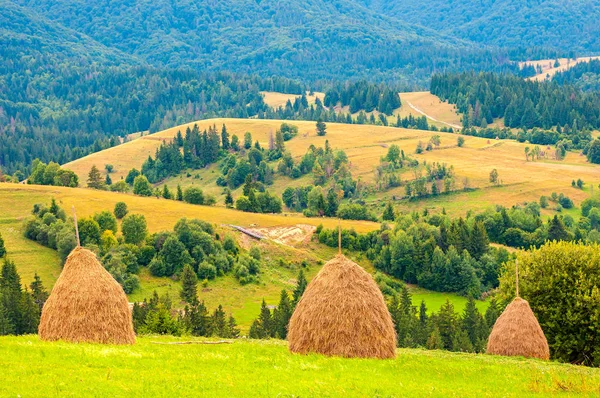 Τρεις Θημωνιές στο οροπέδιο όμορφο καλοκαίρι στο βουνό των Καρπαθίων — Φωτογραφία Αρχείου