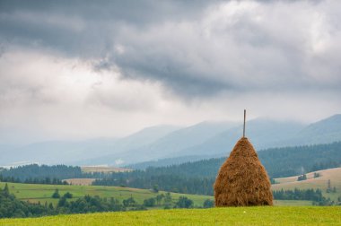 Samanlıkta dramatik bulutlu gökyüzü ile dağ çayır üzerinde. Ukrayna, Europe