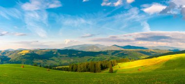Panorama Karpat dağ manzarası ile yaz aylarında mavi bulutlu gökyüzü