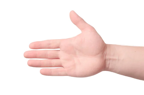 Juiste palm hand. Geïsoleerd op witte achtergrond — Stockfoto