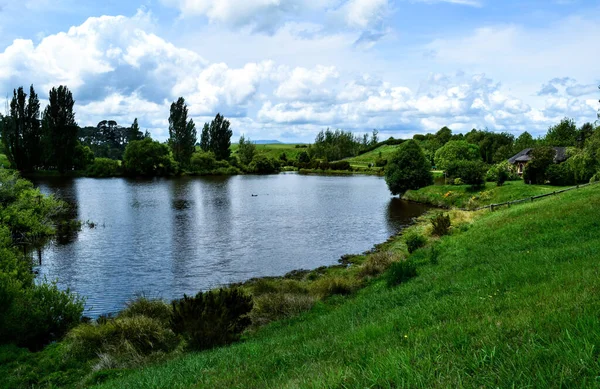 Grand Étang Long Des Beaux Paysages Nouvelle Zélande — Photo