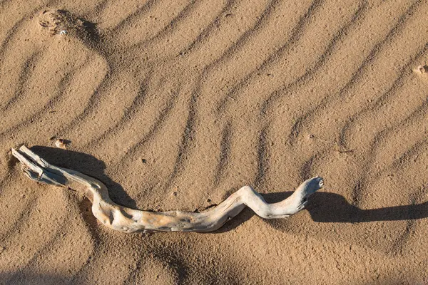 Konar na plaży — Zdjęcie stockowe