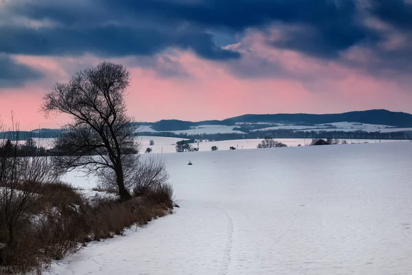 Зимовий вечір пейзаж у Моравії, Чехія — стокове фото