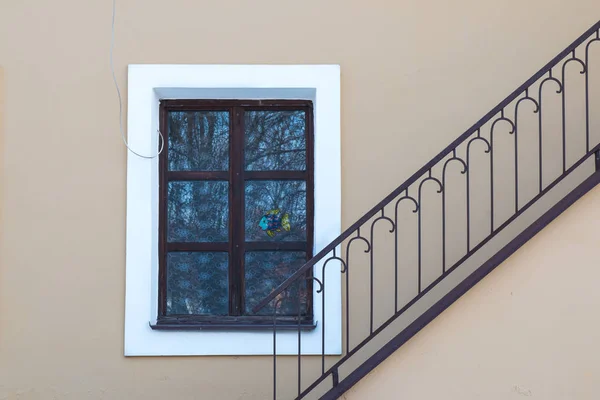 Janela com um reflexo e uma imagem de peixe — Fotografia de Stock