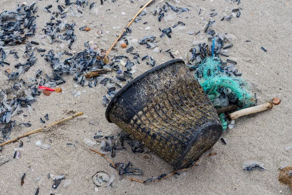 Ecologia: descobertas de praia - cesta de plástico — Fotografia de Stock