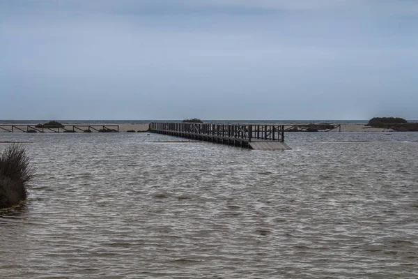 Sandy coast with a wooden bridge, Sardinia — Stock Photo, Image