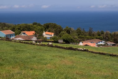 Tarla ve köy, Sao Miguel, Azores