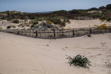 Kum tepeleri kıyıda, Sardunya, İtalya
