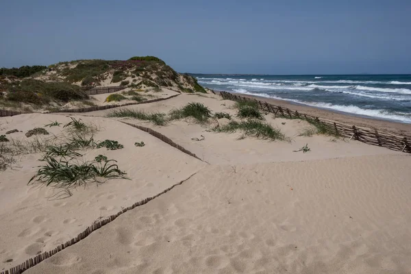 Dune di sabbia sulla costa, Sardegna, Italia — Foto Stock