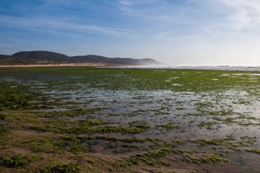 Atlantik Okyanusu Plajı, Fas