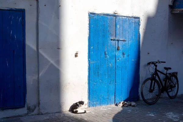 Gato, puerta azul y una bicicleta —  Fotos de Stock