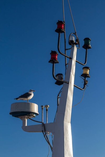 Detail of the mainmast and seagull