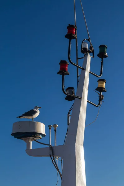 Dettaglio dell'albero maestro e del gabbiano Immagine Stock