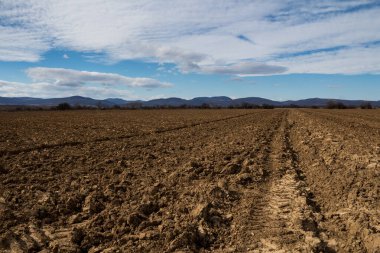 Baharda ekili bir tarlanın kahverengi toprağı. Arka planda Karpat Dağları var. Beyaz bulutlu mavi gökyüzü. Budmerice, Slovakya.