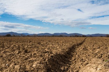 Baharda ekili bir tarlanın kahverengi toprağı. Arka planda Karpat Dağları var. Beyaz bulutlu mavi gökyüzü. Budmerice, Slovakya.