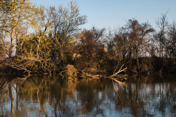 다뉴브강에서 호수를 만들고 나무들 과작은 잎들로 둘러쌓여 속에서의 슬로바키아 — 스톡 사진