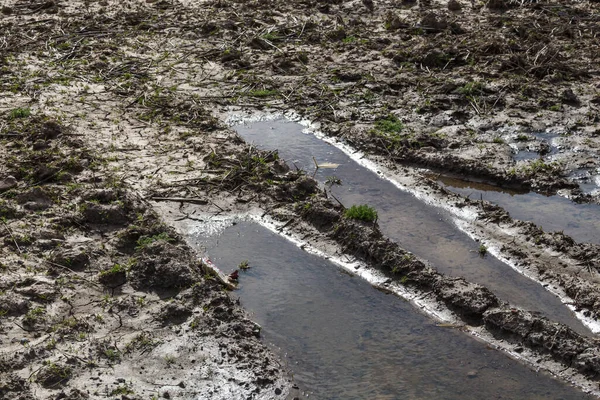 Brown soil in the spring, with trails from a car, filled with water after a rain, creating puddle. Edges of the water reflecting sunshine. Budmerice, Slovakia.