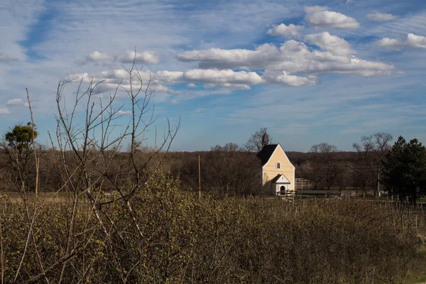 Pequeña Capilla Asunción Virgen María Rodeada Naturaleza Viñedo Cielo Azul —  Fotos de Stock