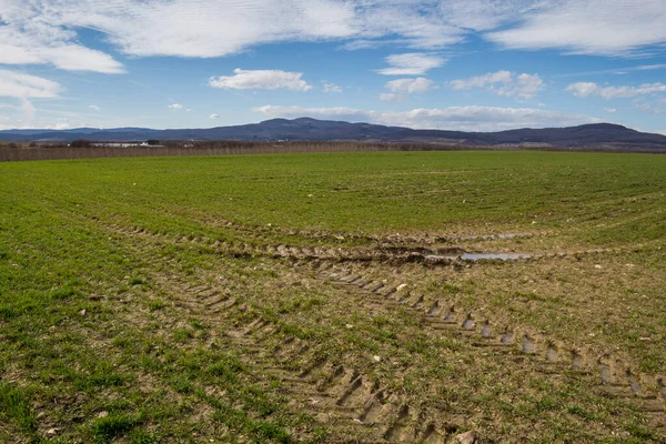 Campos Primavera Verdes Com Vegetação Ainda Pequena Rails Carro Com — Fotografia de Stock