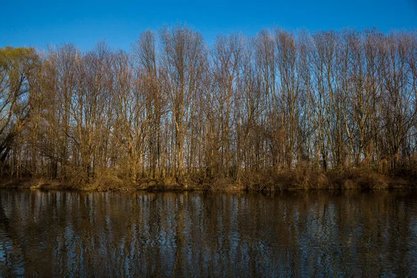 Tarde Atrasada Nas Margens Rio Danúbio Pequeno Forrado Por Árvores — Fotografia de Stock