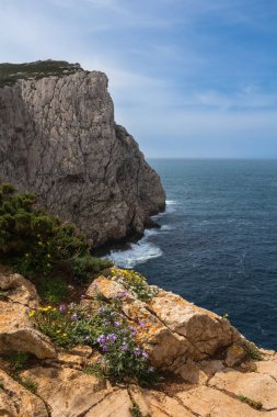 Adanın batı kıyısındaki kayalıkların vahşi yüzeyi Park Parco Naturale di Porto Conte 'de. Akdeniz 'in ışık dalgaları. Mavi gökyüzü. Capo Caccia, Sardinya, İtalya.