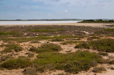 Kuzeyde bir plajın kayalık sahili. Akdeniz 'in temiz ve temiz suları. İlkbaharın başlarında bulutlu bir gökyüzü. Spiaggia (plaj) La Pelosa, Sardinya, İtalya.