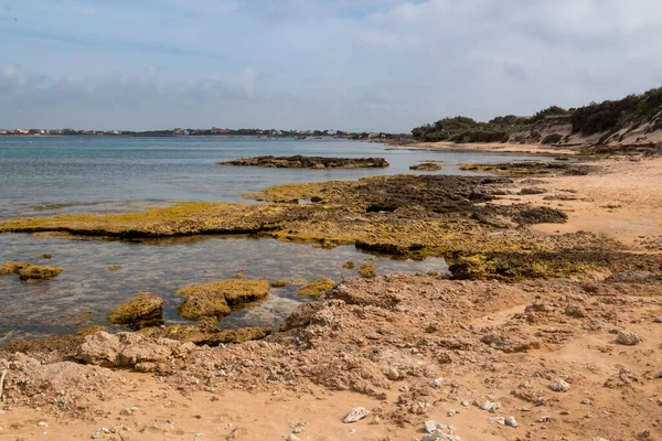 Costa Rochosa Uma Praia Norte Água Limpa Límpida Mar Mediterrâneo — Fotografia de Stock