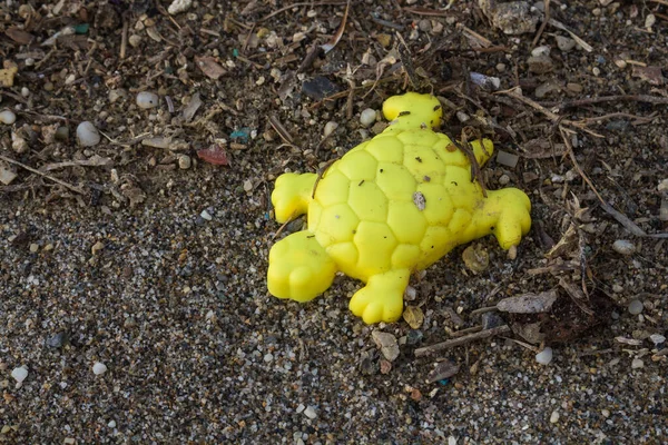 Molde Tartaruga Amarela Para Crianças Esquecidas Perdidas Praia Entre Vários — Fotografia de Stock