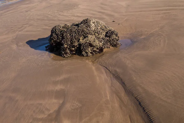 Blöt Strukturerad Sand Strand Efter Våg Med Liten Klippa Detalj — Stockfoto