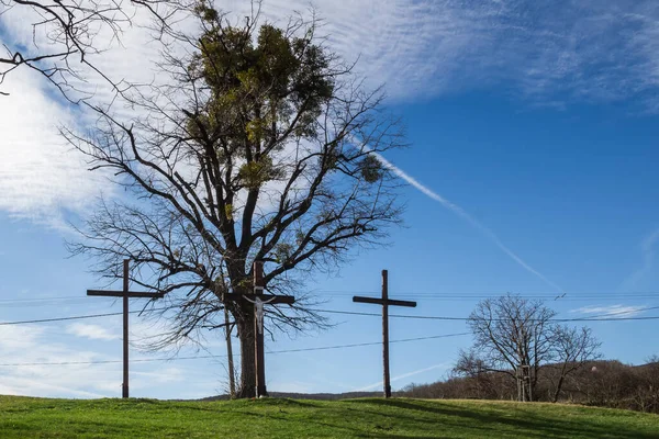 Vysoký Strom Jmelím Zelené Louce Tři Kříže Kalvárie Jasně Modrá — Stock fotografie