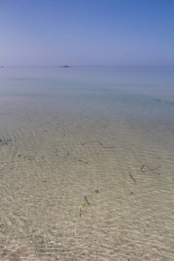 Kumsalın kumlu tabanlı sığ sularını temizleyin. Küçük dalgalar ve güneş ışığı dokusu. Suda yosun var. Alghero, Sardinya, İtalya.