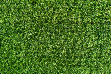 Yapay Çimen zemin arkaplanı