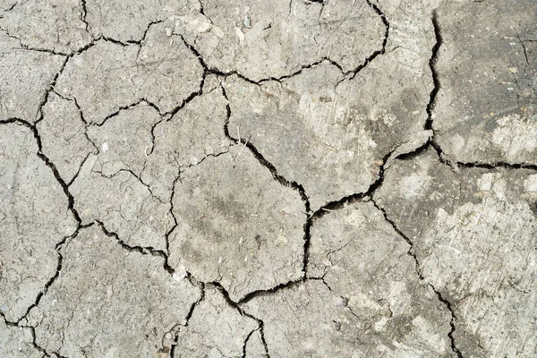 The cracked ground,  Soil texture and dry mud, Dry land. background, texture