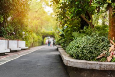 Parktaki ağacın altındaki kayalık bank, seçici odak.