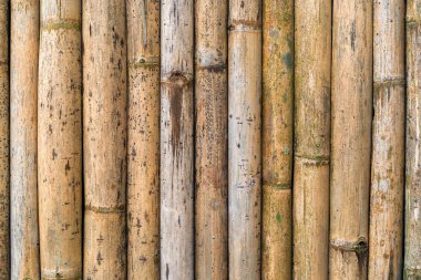 Arka plan için bambu ahşap duvar dokusu