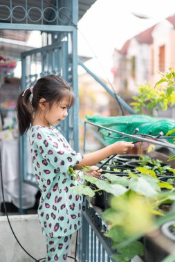 Küçük Asyalı kadın çiçekleri sulama hortumuyla sulıyor, ebeveynlerin sebze yetiştirmesine yardımcı oluyor, seçici odaklanma, doğa eğitimi ve çocuklarla açık hava aktiviteleri kavramı..