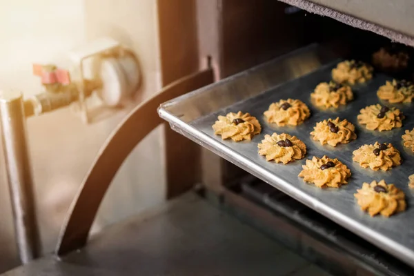 Biscuit Aux Pépites Chocolat Avec Noix Cajou Sur Plateau Four — Photo