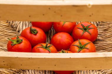 Domatesler hasır sandalyede yatar. Sandalyenin arkasına bak..