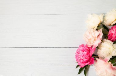 Beyaz ahşap yüzeyde renkli şakayıklar