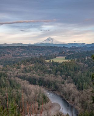 Manzaralı düşüş manzarası, Hood Dağı 'na doğru akan nehir.
