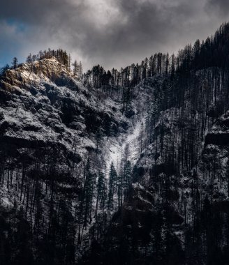 Hafif kardan sonra Columbia Vadisi tepeleri