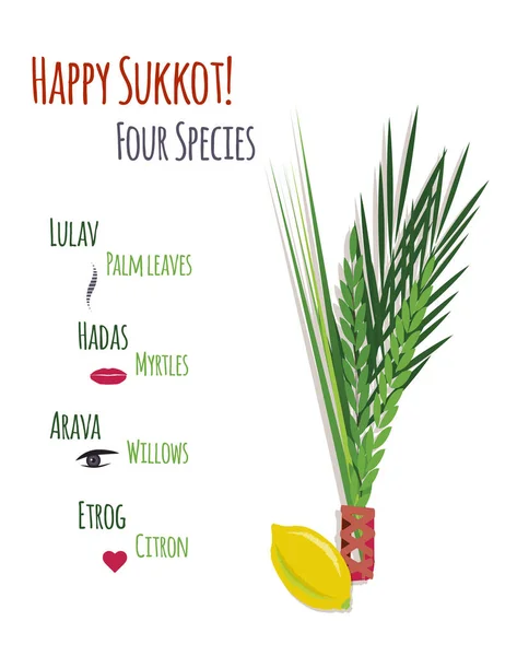 Cuatro especies. Plantilla vectorial de diseño de tarjeta de felicitación Festival Sukkot . Ilustraciones de stock libres de derechos