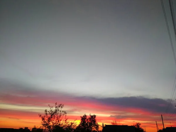 Bomen Ondergaande Zon Achtergrond Paarse Roze Zonsondergang Kleurrijke Zonsondergang — Stockfoto